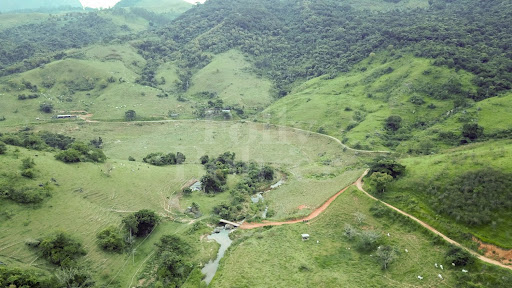 Fazenda em TRAJANO DE MORAES  -  Trajano de Moraes