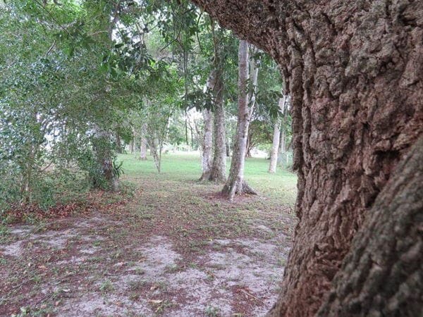 Rural à venda com 45000m² de terreno no Vargem Pequena, Florianópolis (SC) — foto 10 de 28