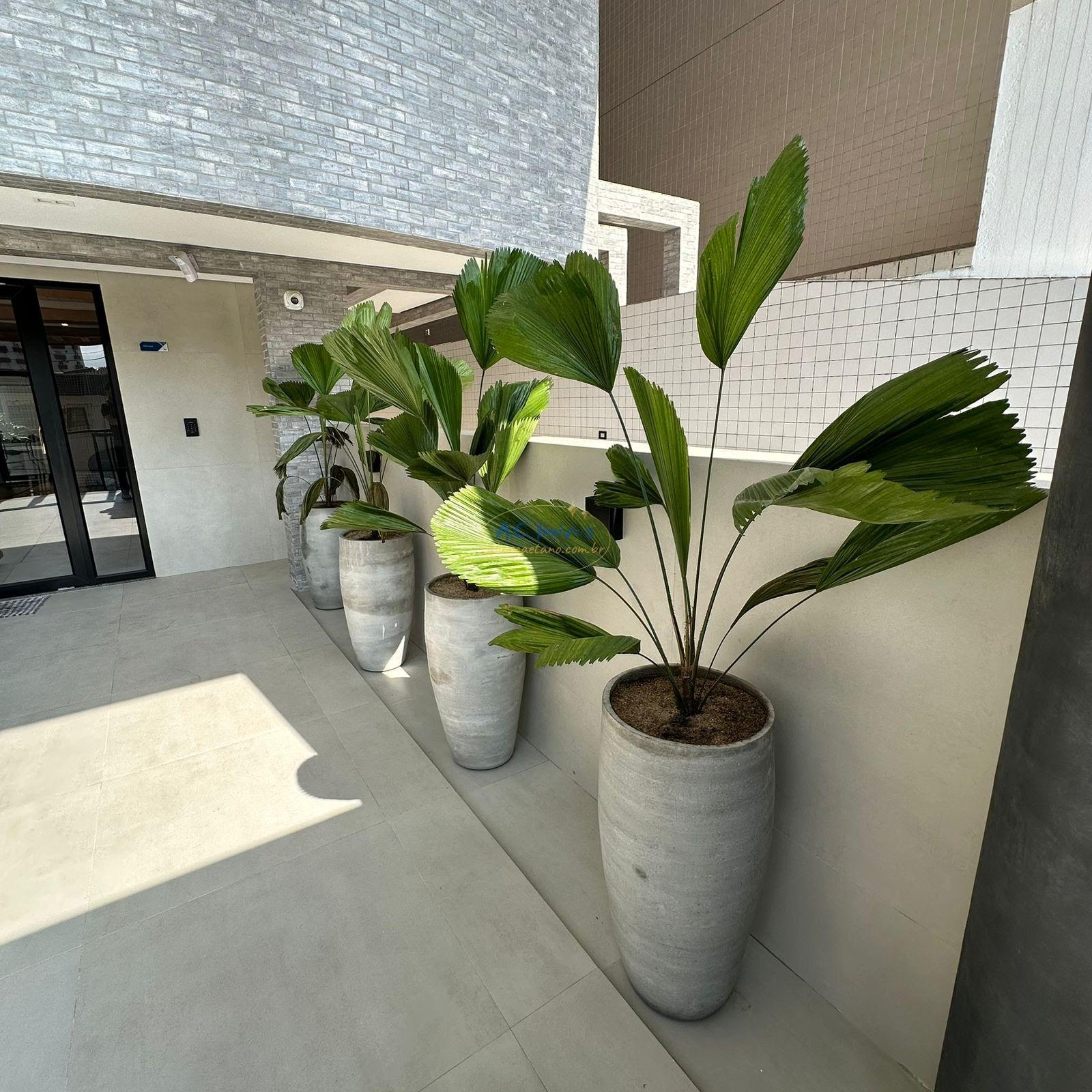 Apartamento à venda com 2 quartos, 1 suíte, 1 vaga e 59m² no Vila Tupi, Praia Grande (SP) — foto 4 de 30
