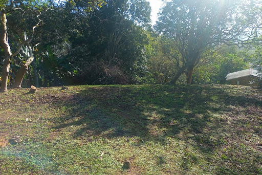 Área em Potecas  -  São José