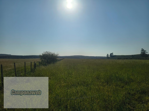 Fazenda em Pantano Grande Rs  