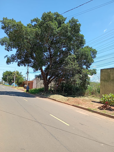 Lote / Terreno em Nova Lima  -  Campo Grande