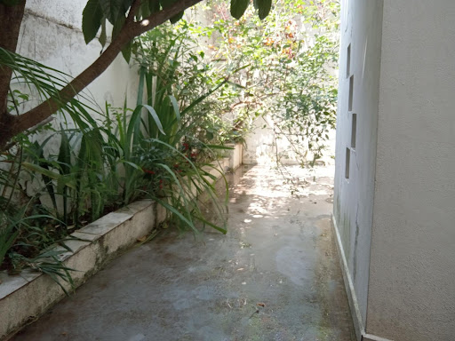 FOTO_9