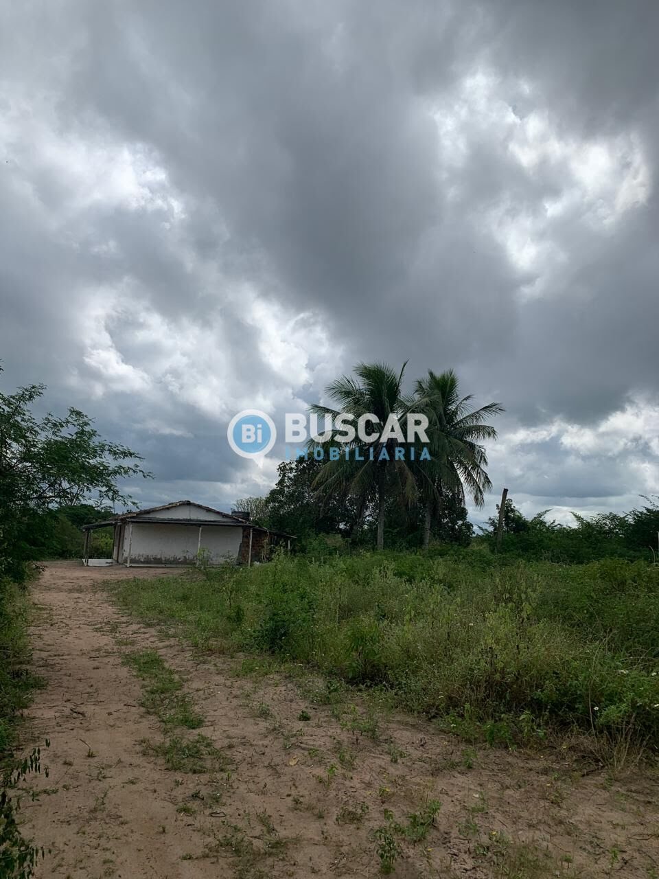 Rural à venda com 13182m² de terreno no Sim, Feira de Santana (BA) — foto 8 de 15