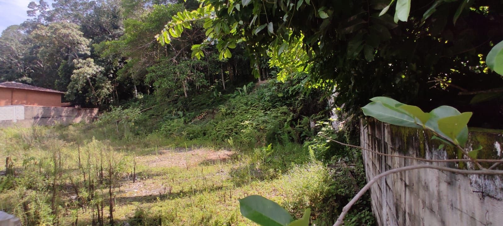 Terreno à venda com 1100m² de terreno no Tenório (praia Vermelha), Ubatuba (SP) — foto 5 de 7