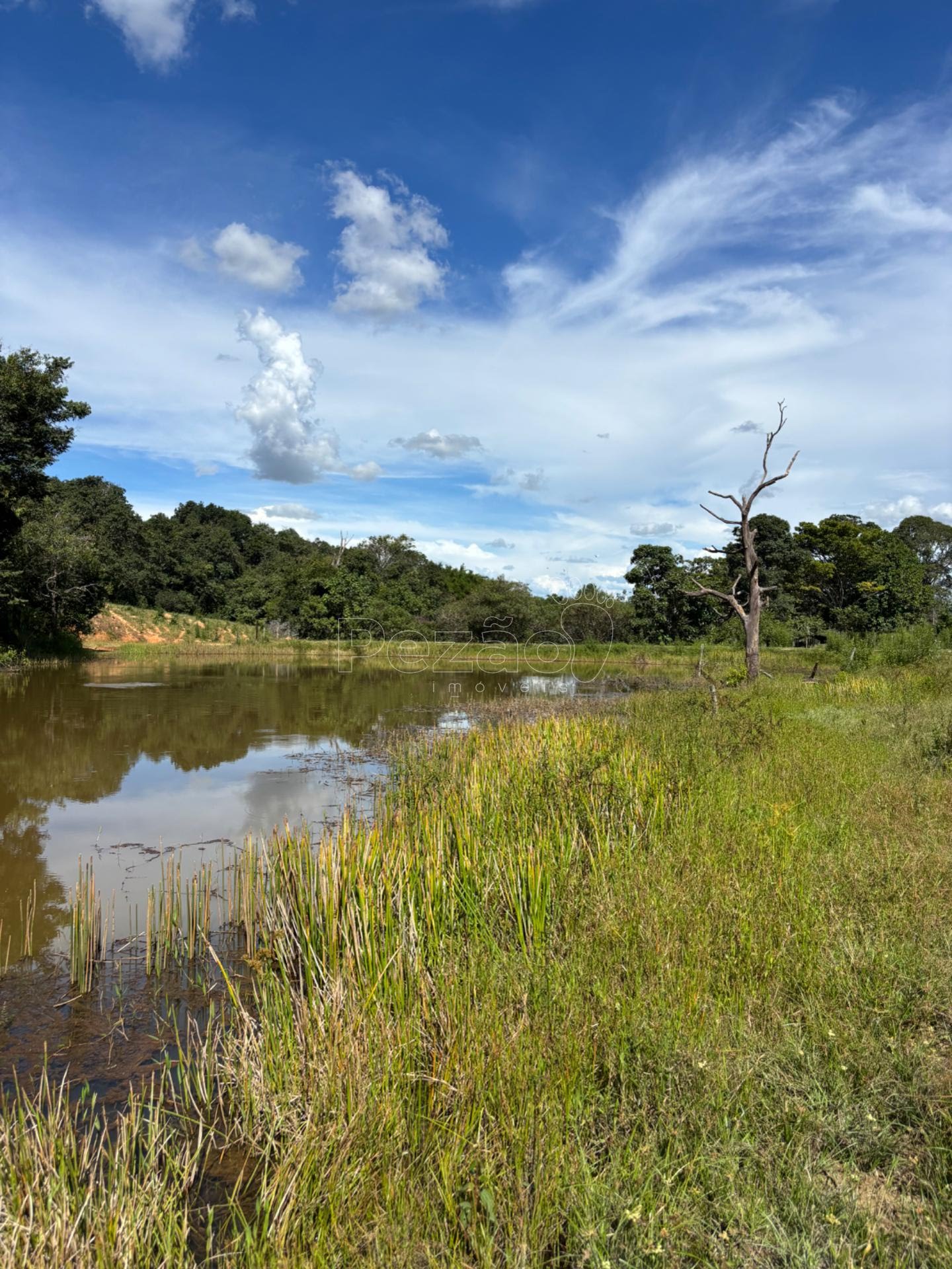 Rural à venda no Fazenda, Itapuranga (GO) — foto 4 de 11