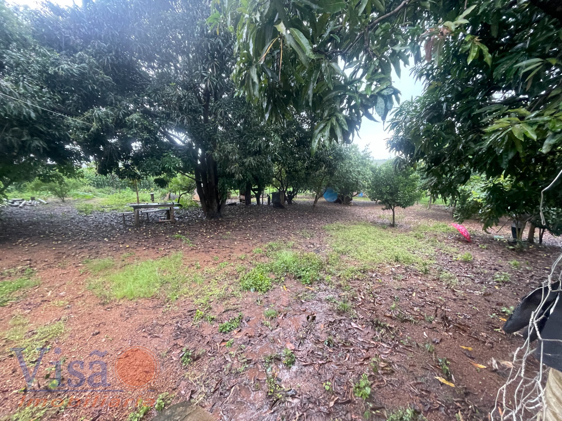 Rural à venda com 90m² de terreno no Área Rural de Paracatu, Paracatu — foto principal