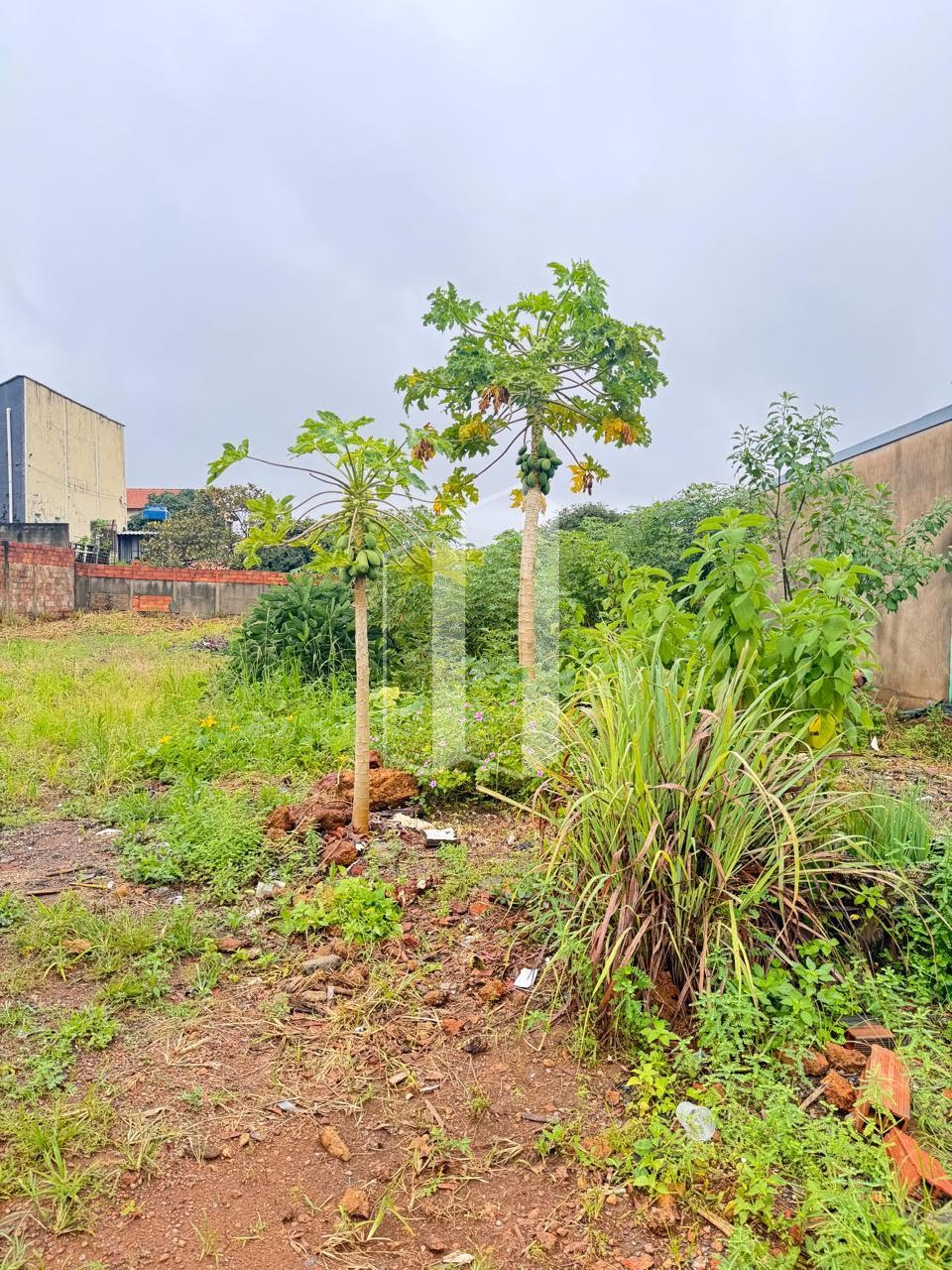 Terreno à venda no Setor Garavelo, Aparecida de Goiânia (GO) — foto 2 de 3