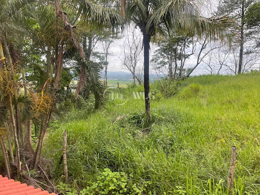 Sítio à Venda em Ibituporanga, Itaguaí: 4 Quartos e Suíte