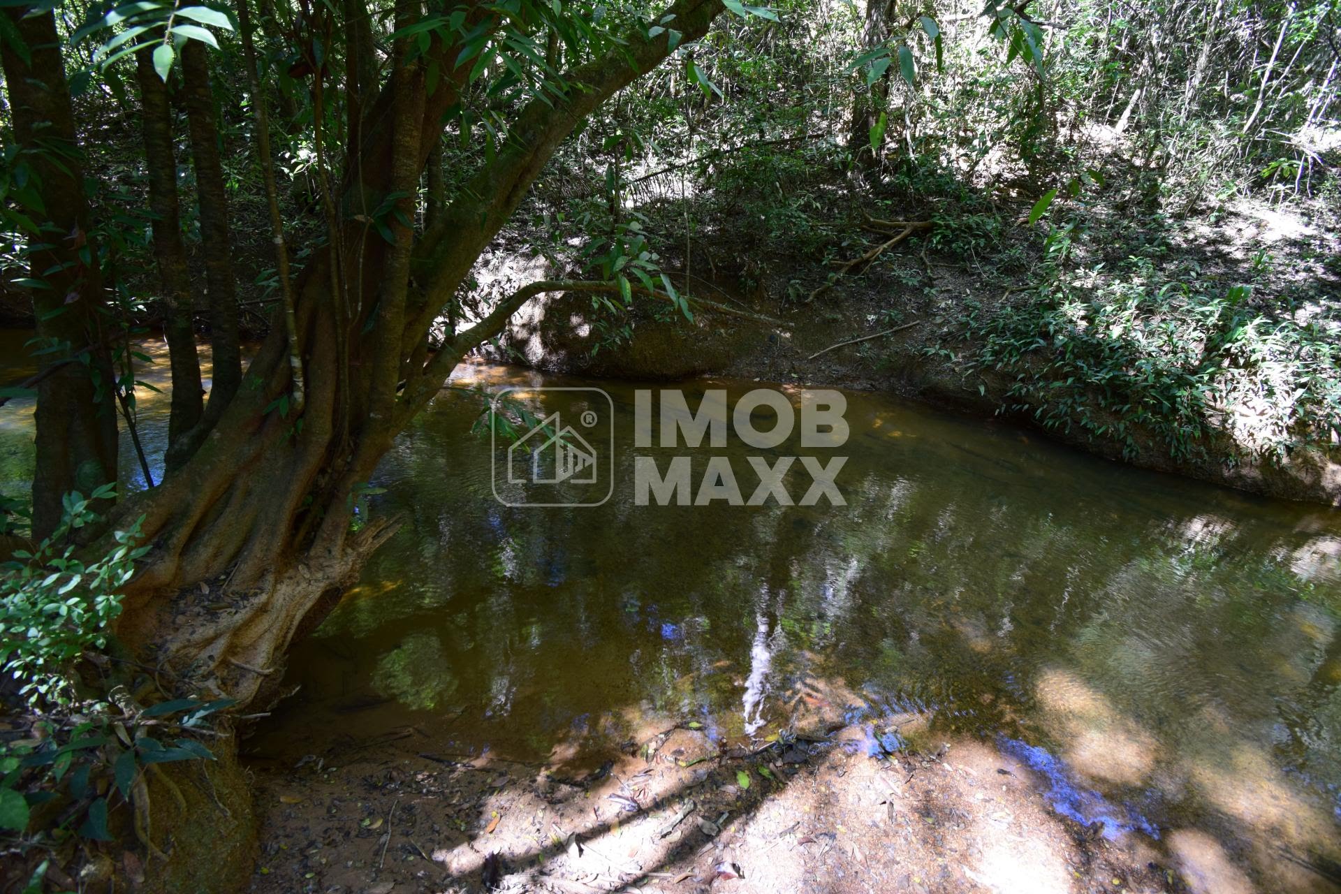 Chácara, 5 quartos, 5 hectares - Foto 43