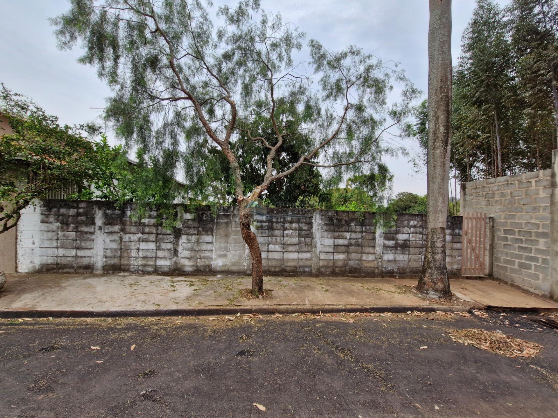 Terreno a venda em Casa Branca SP