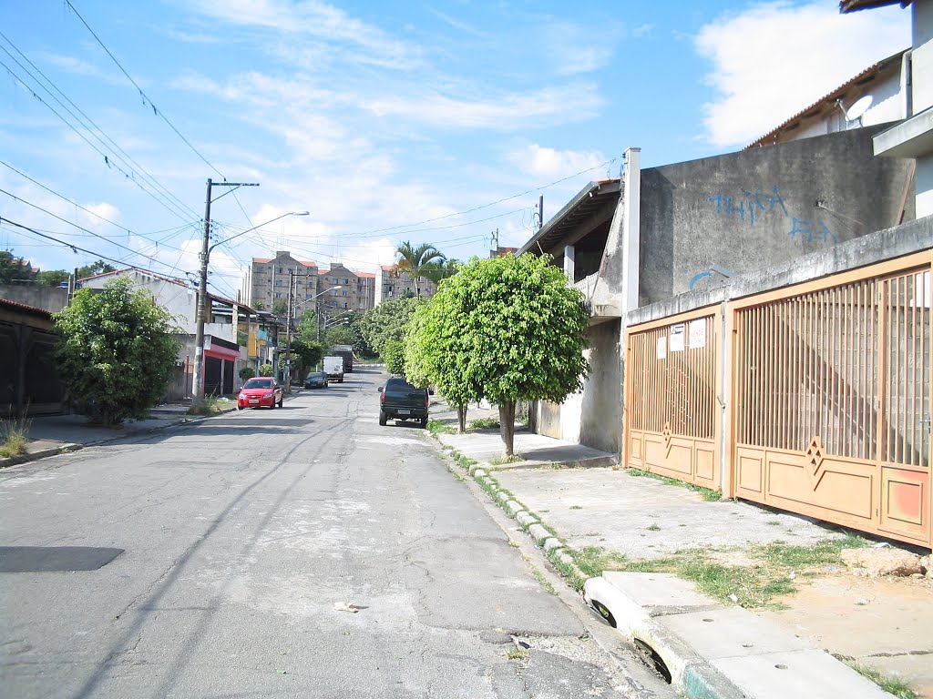 Rua larga e plana