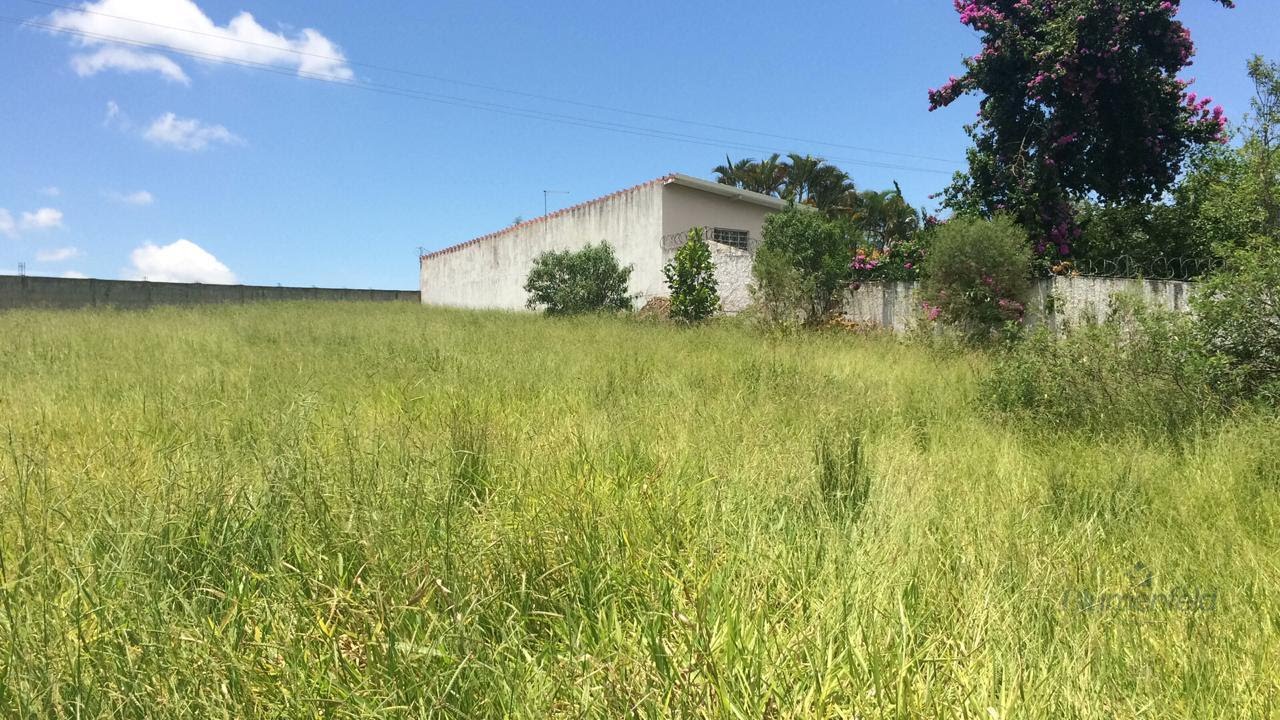 Terreno à venda com 5774m² de terreno no Bairro do Funil, Santa Isabel (SP) — foto 5 de 14