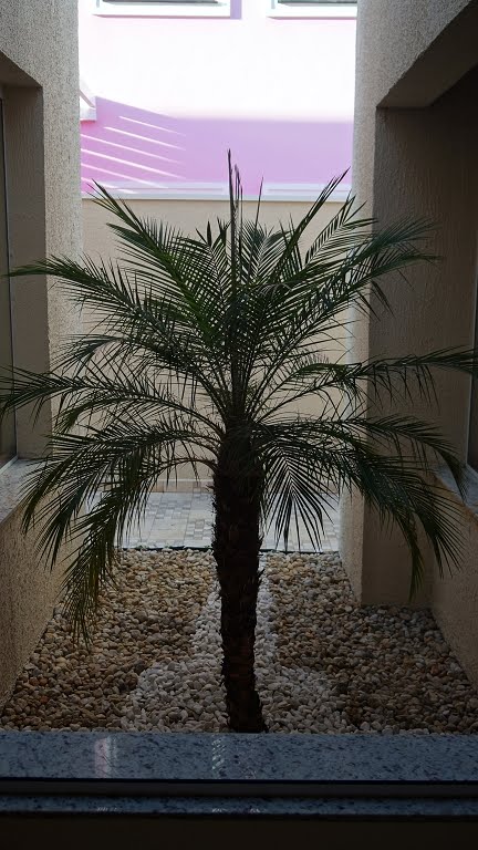 JARDIM DE INVERNO