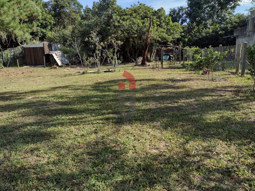 Chácara no Caconde  -  Osório