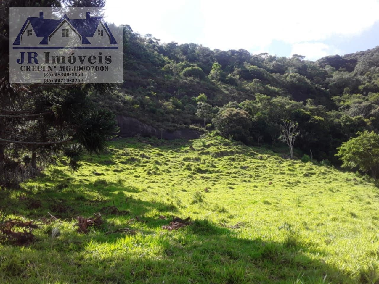 Rural à venda com 30000m² de terreno no Resende, Pedralva (MG) — foto 11 de 21