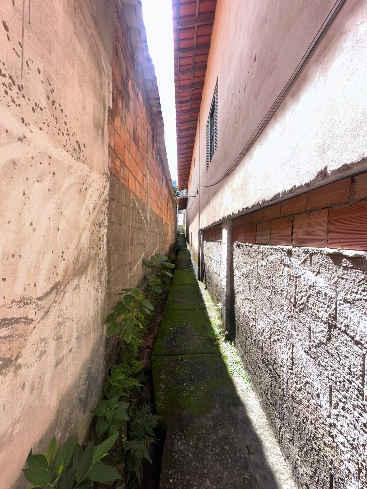 Casa à venda com 4 quartos, 3 banheiros e 397m² no Juliana, Belo Horizonte (MG) — foto 20 de 21