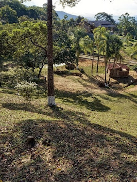 Sítio à venda, 3 m² por R$ 700.000 - São Sebastião - Palhoça/SC