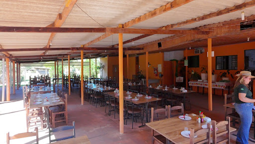 Fazenda em Zona Rural  -  Campo Grande