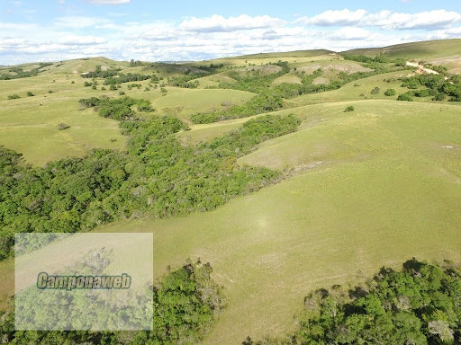 Casa residencial em Caçapava do Sul - Caçapava do Sul/Rio Grande do Sul | Casa residencial em Caçapava do Sul - Caçapava do Sul/Rio Grande do Sul | Imobiliária Camponaweb em Santa Cruz do Sul