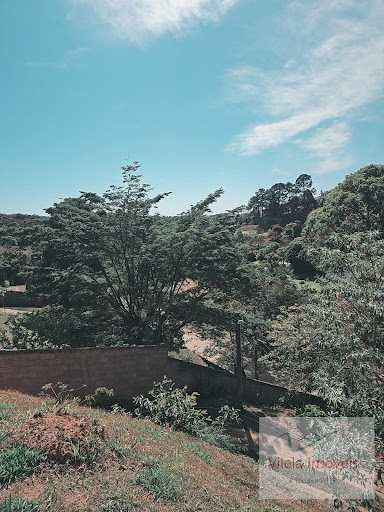 Acima das copas das árvores