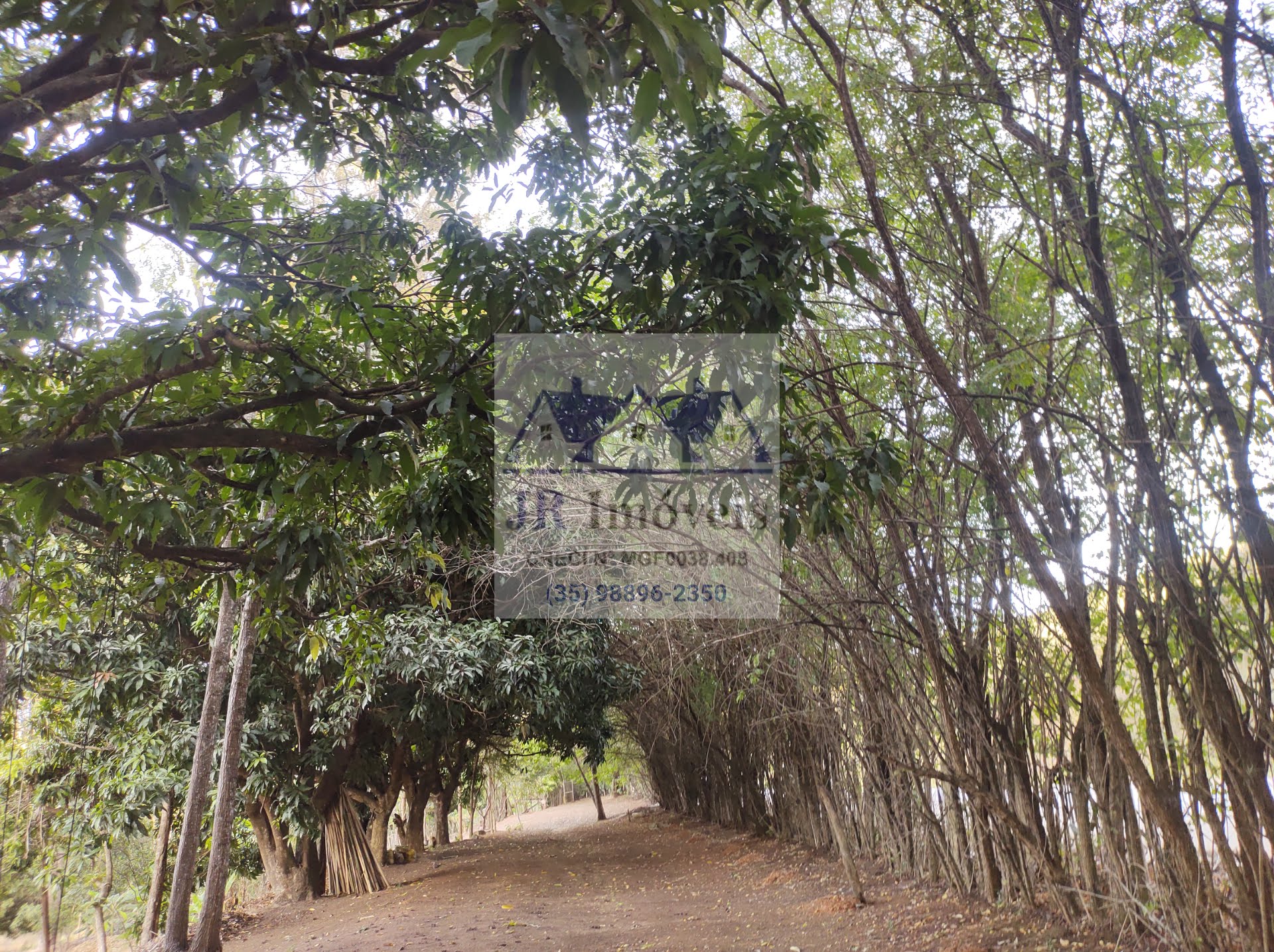 Rural para alugar com 18000m² de terreno no Mato Dentro de Baixo, Piranguinho (MG) — foto 22 de 30