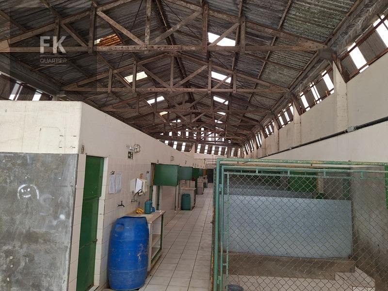 Comercial à venda com 1706m² no Remédios, Osasco (SP) — foto 12 de 16