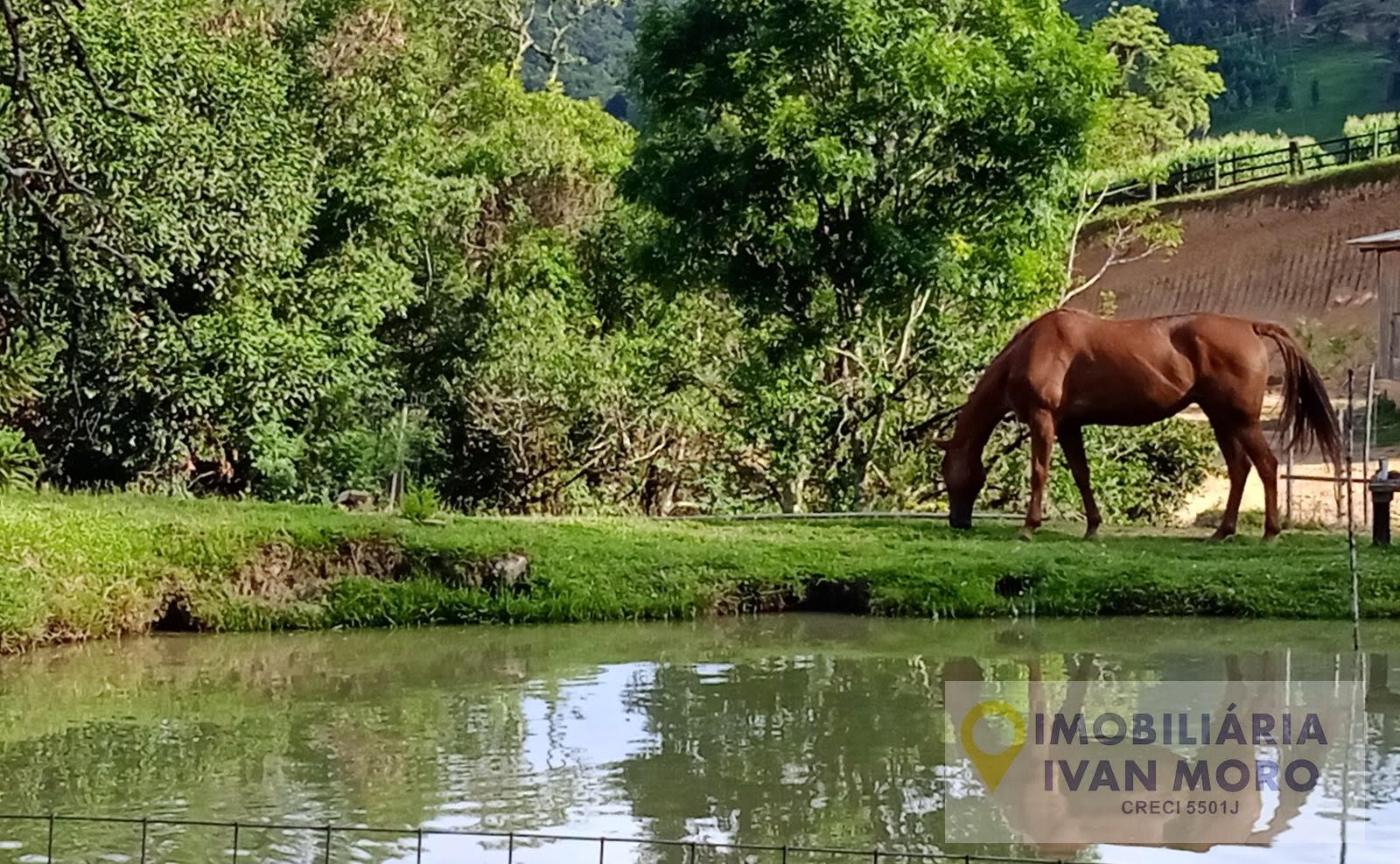 Rural à venda com 34000m² de terreno no Estrada Geral Maracujá, Anitápolis (SC) — foto 15 de 18