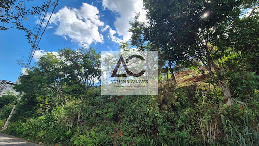 Lote / Terreno em Esplanada  -  Ponte Nova