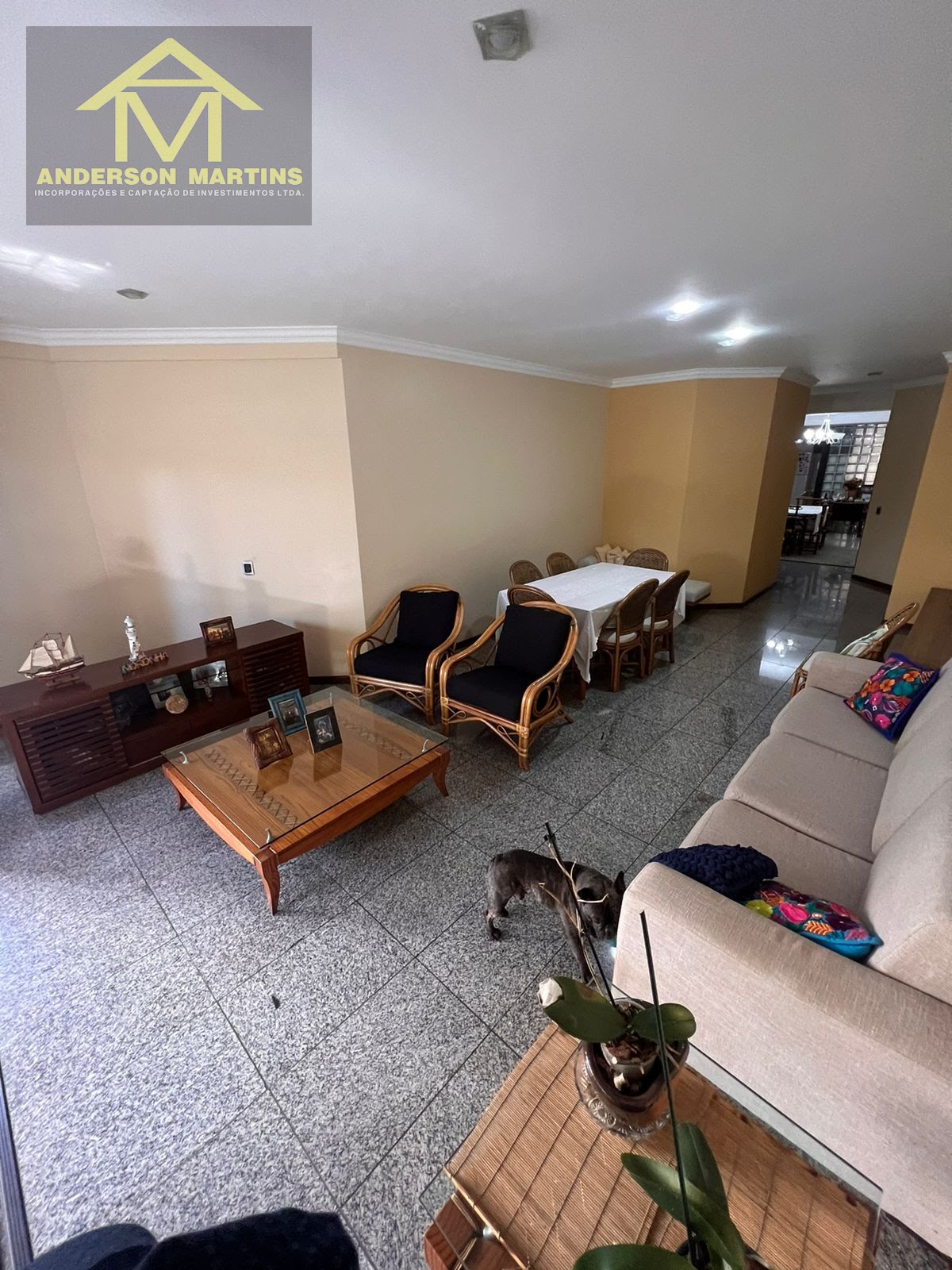 Apartamento, 4 quartos, 250 m² - Foto 13
