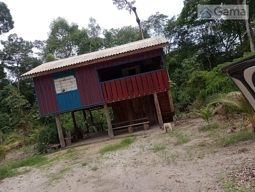 Rural em Linha 70   -  Pimenta Bueno Alagado 130km ate o lot 