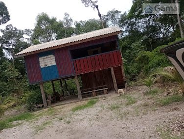 Rural em Linha 70   -  Pimenta Bueno Alagado 130km ate o lot 