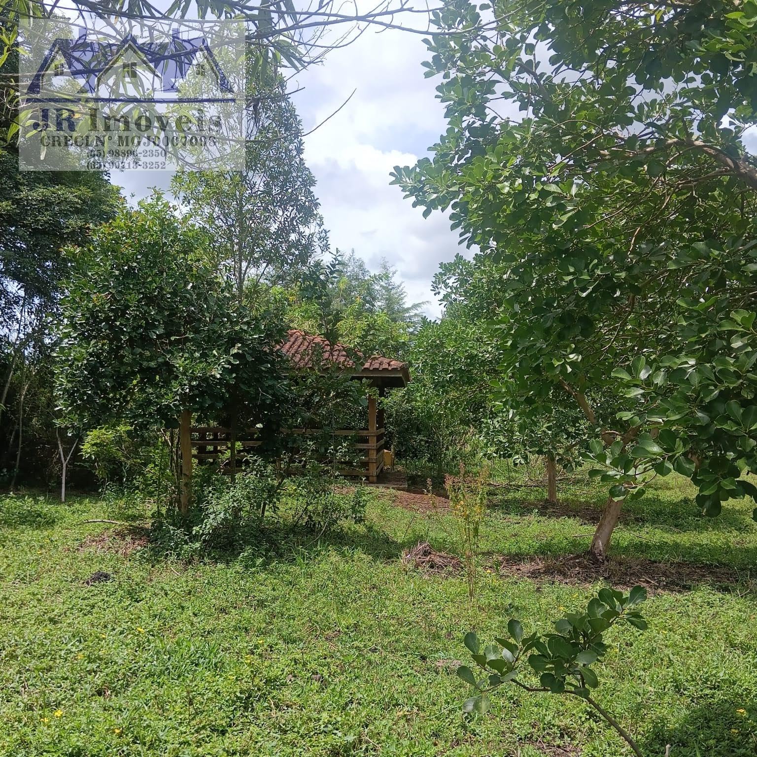 Terreno à venda com 3000m² de terreno no Carneiros, Piranguinho (MG) — foto 4 de 21