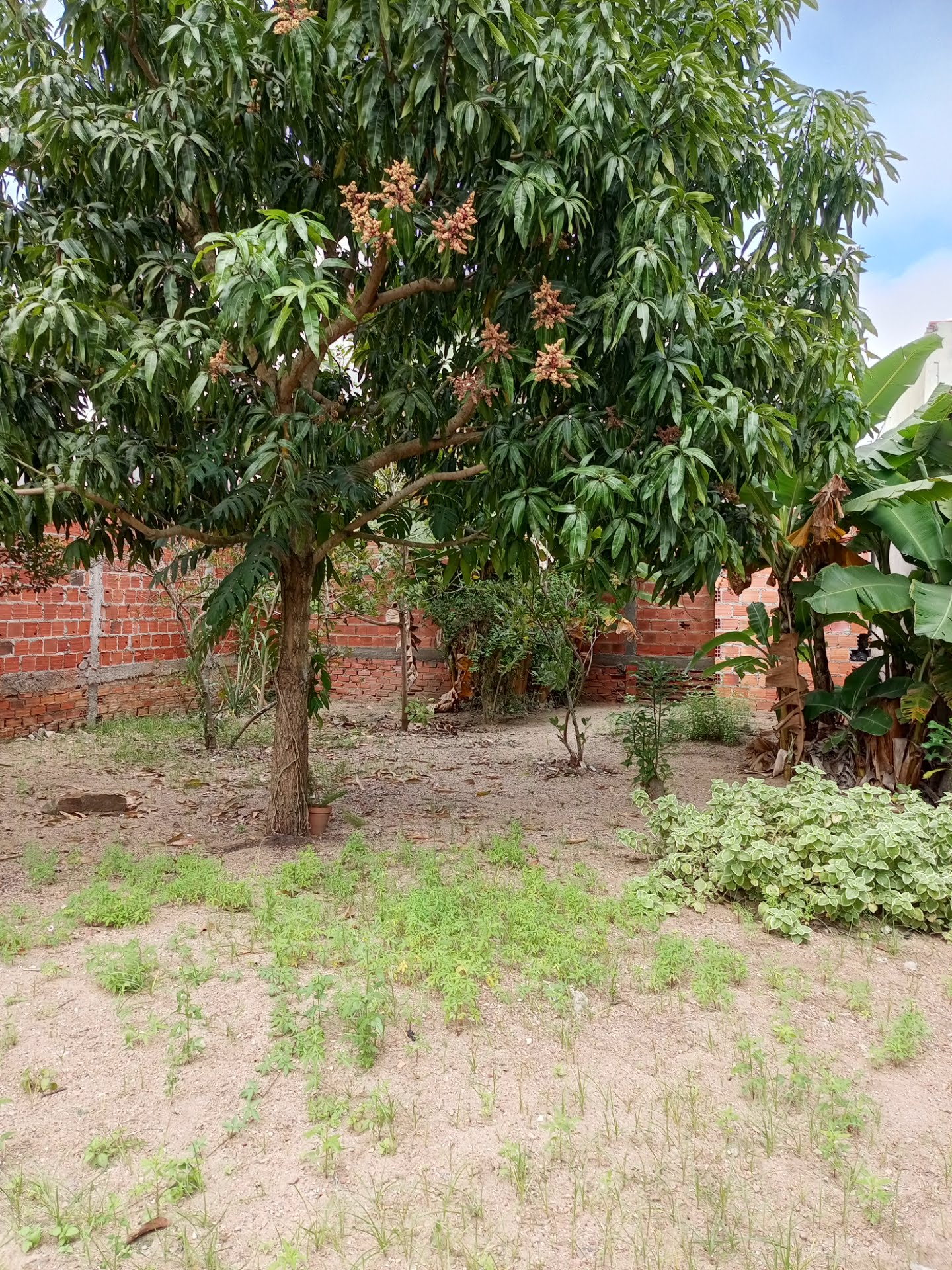 Terreno à venda com 325m² de terreno no Jardim Acácia, Feira de Santana (BA) — foto 5 de 7
