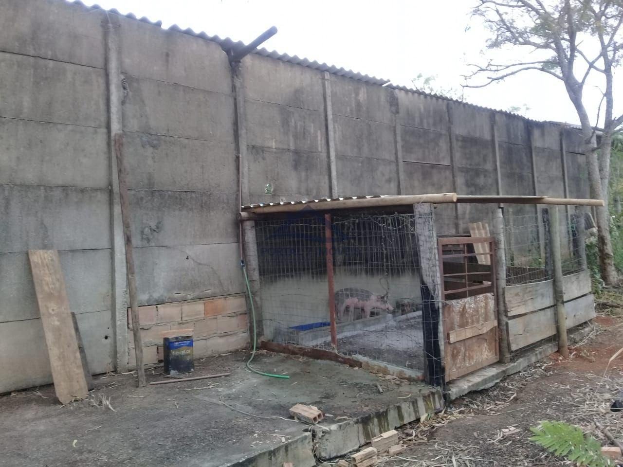 Rural à venda com 20000m² de terreno no Nucleo João Pinheiro, Funilândia (MG) — foto 4 de 12