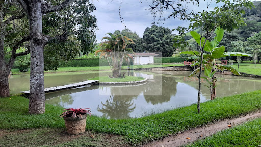 Sítio alto padrão  -  Cataguases