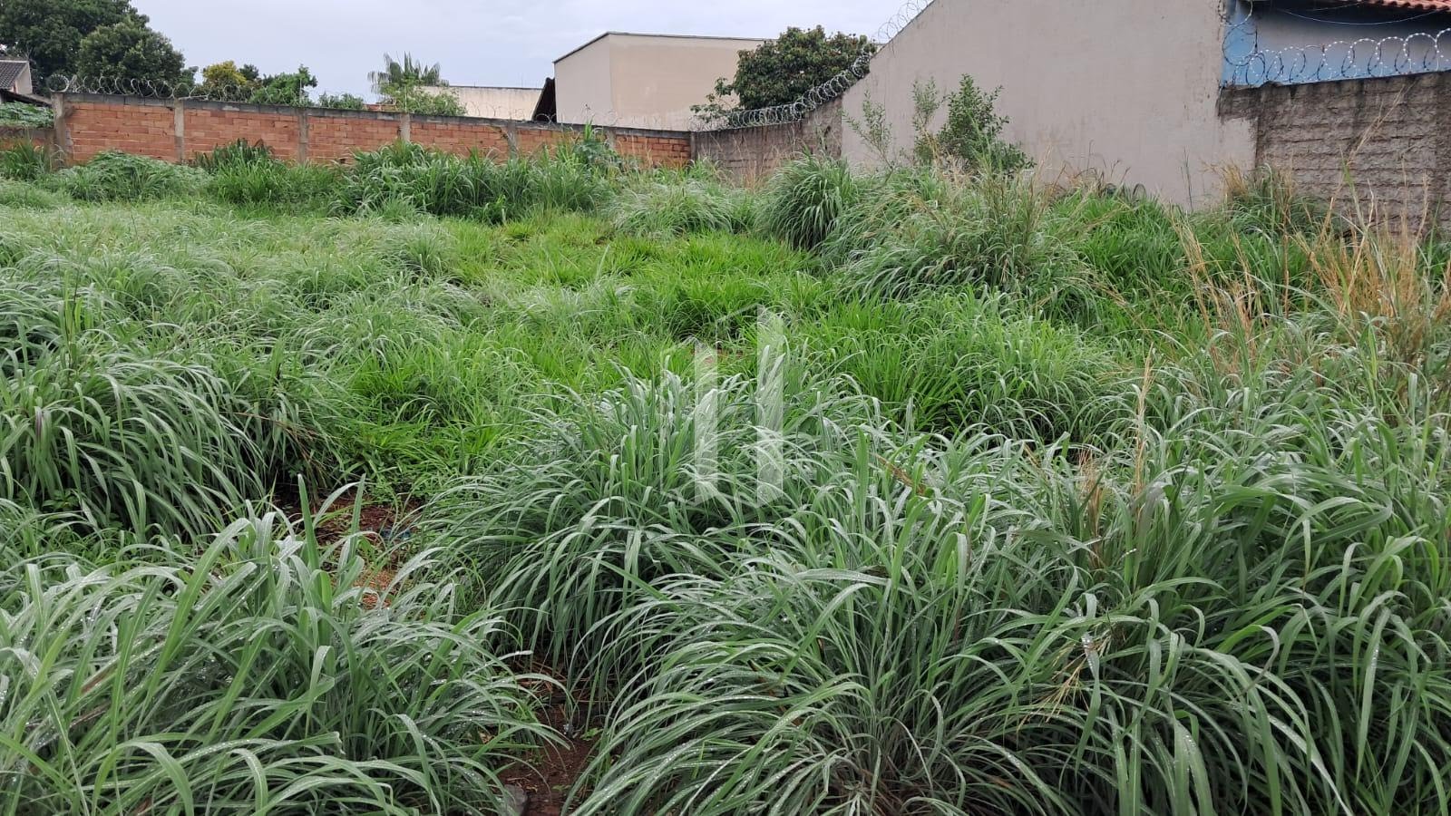 Terreno à venda com 360m² de terreno no Jardim Dom Bosco 2ª Etapa, Aparecida de Goiânia (GO) — foto 3 de 3