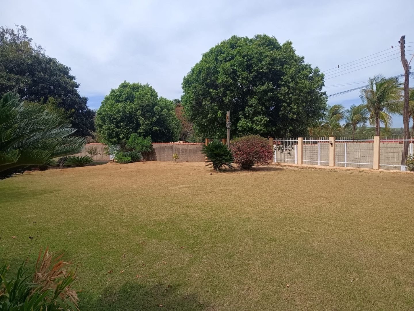 Rural à venda com 5000m² de terreno no Condomínio Chácaras Itambé, Ribeirão Preto (SP) — foto 20 de 23