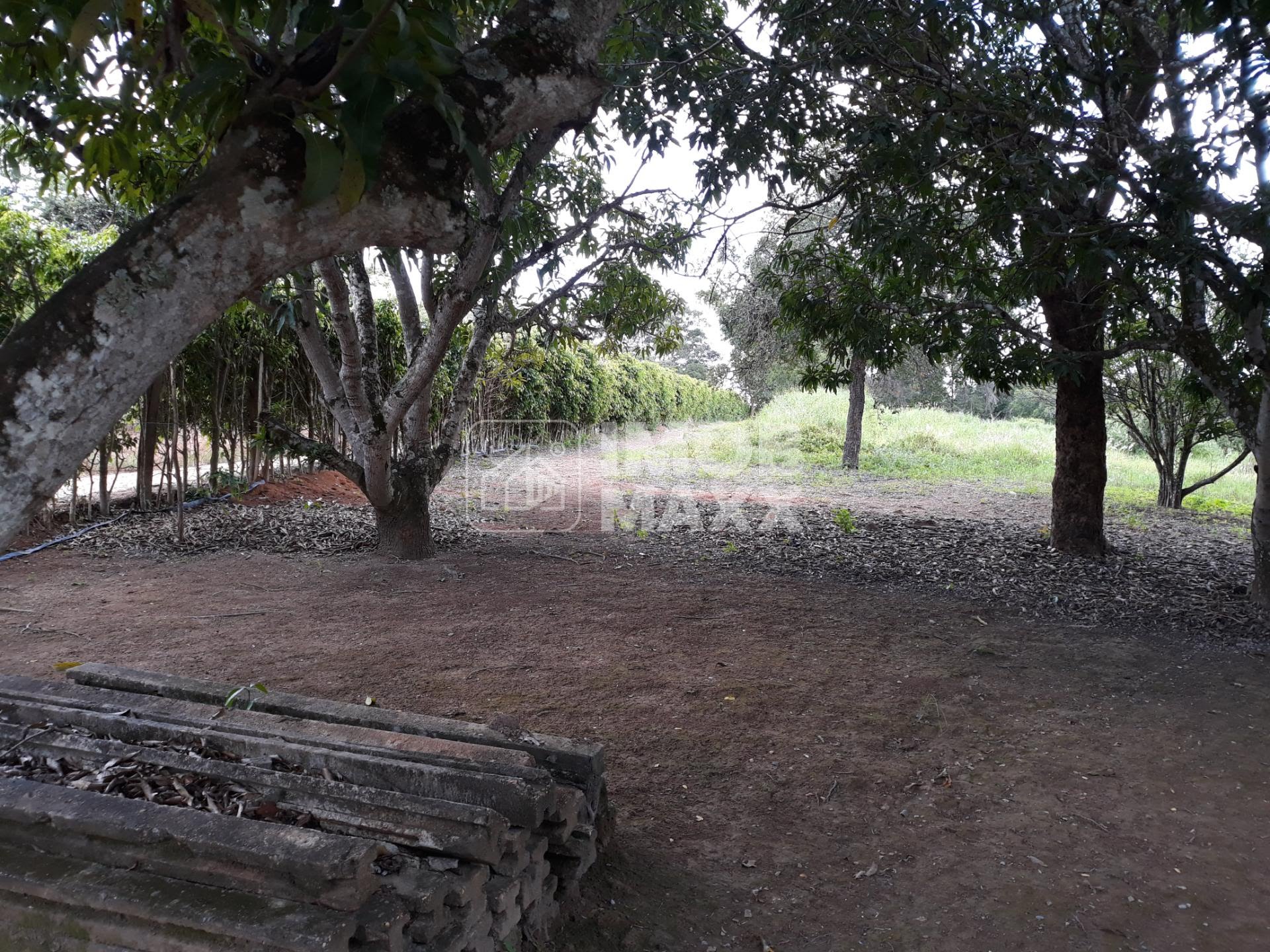 Chácara, 5 quartos, 5 hectares - Foto 10