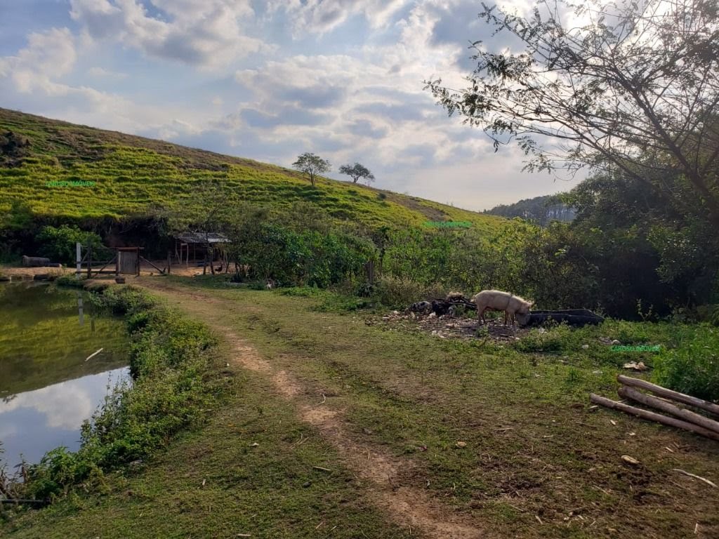 Terreno à venda com 110163m² de terreno no Pedreira, Arujá (SP) — foto 21 de 22