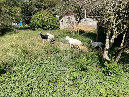 Foto 08
