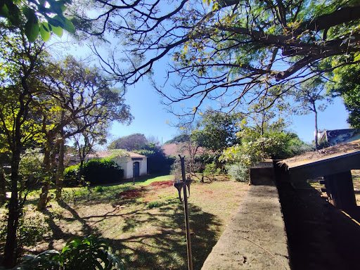 Chácara em Jardim São Bento  -  Campo Grande