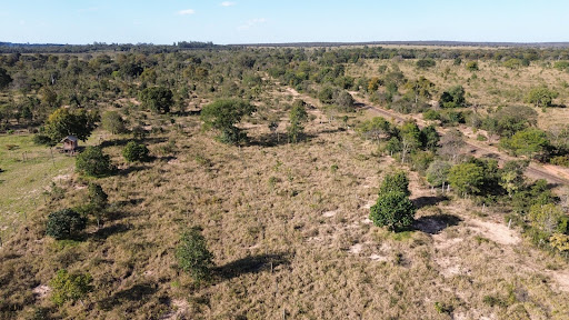 Fazenda em zona rural  -  Campo Grande