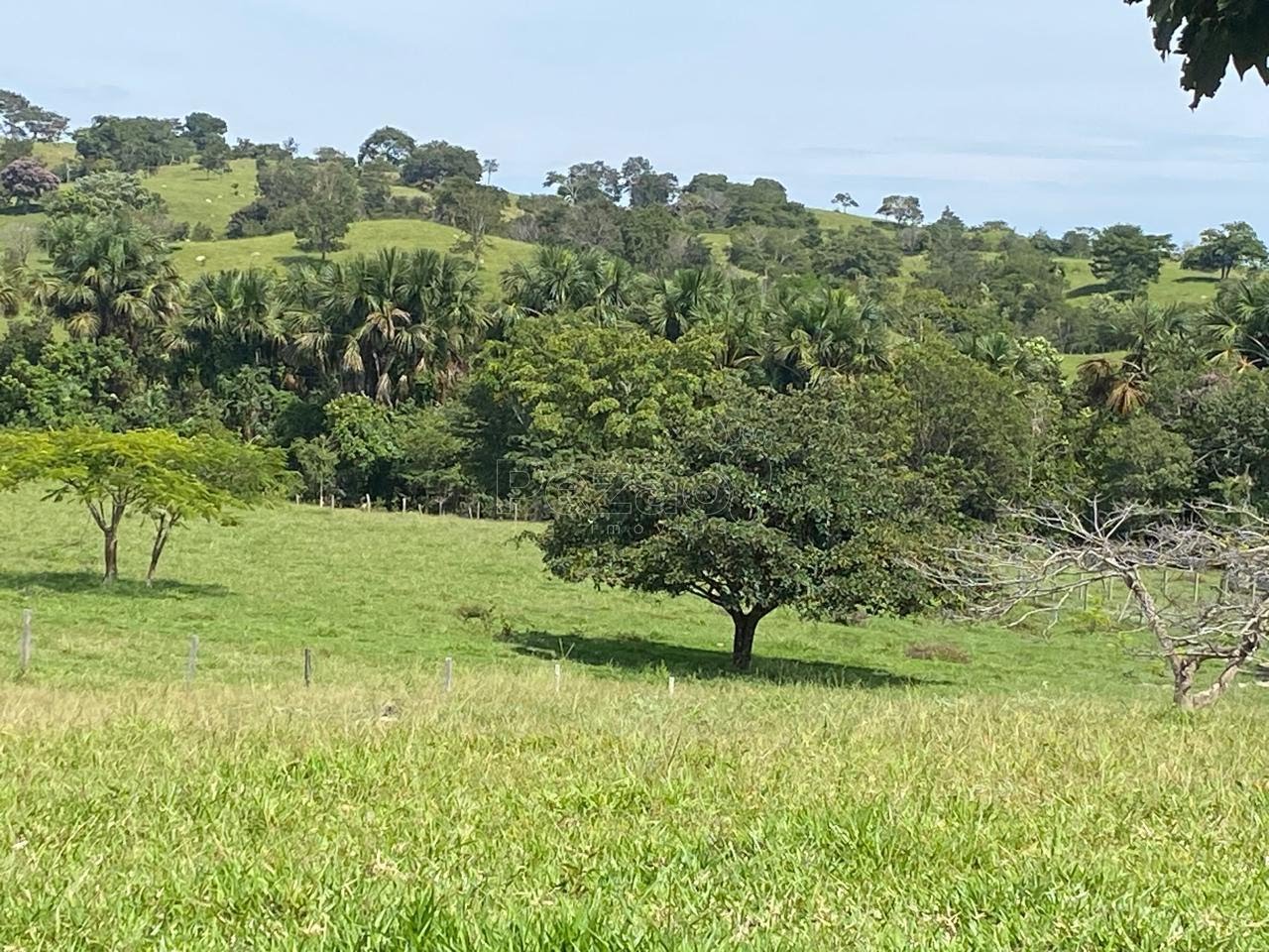 Rural à venda no Zona Rural, Itapuranga (GO) — foto 13 de 18