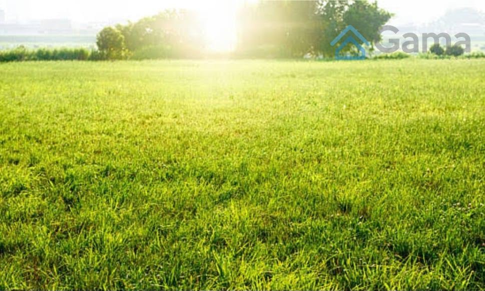 Terreno Santa Clara