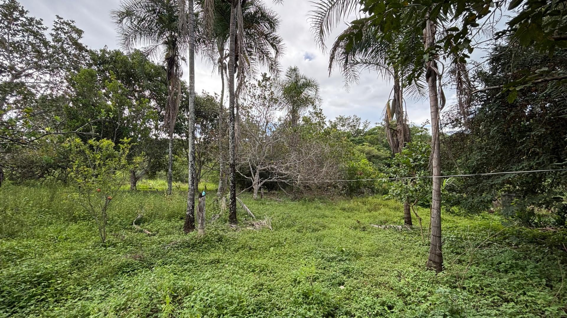 Rural à venda com 50000m² de terreno no Zona Rural, Itapuranga (GO) — foto 29 de 30