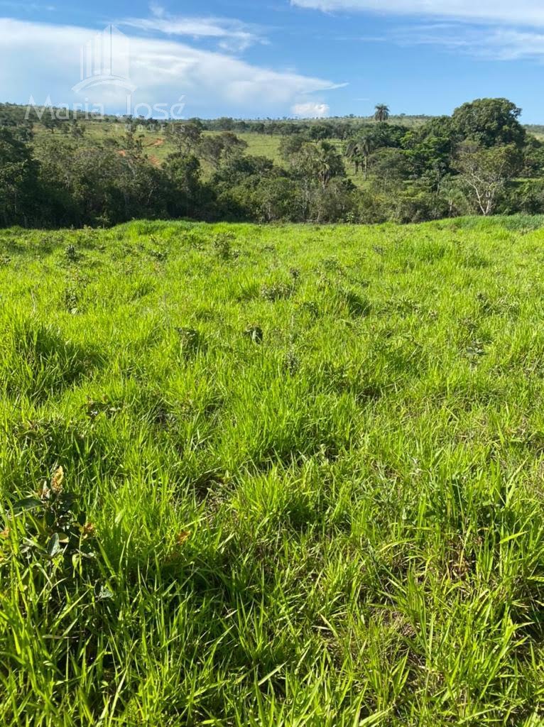Rural à venda com 8930000m² de terreno no Zona Rural de Três Marias, Três Marias (MG) — foto 10 de 30