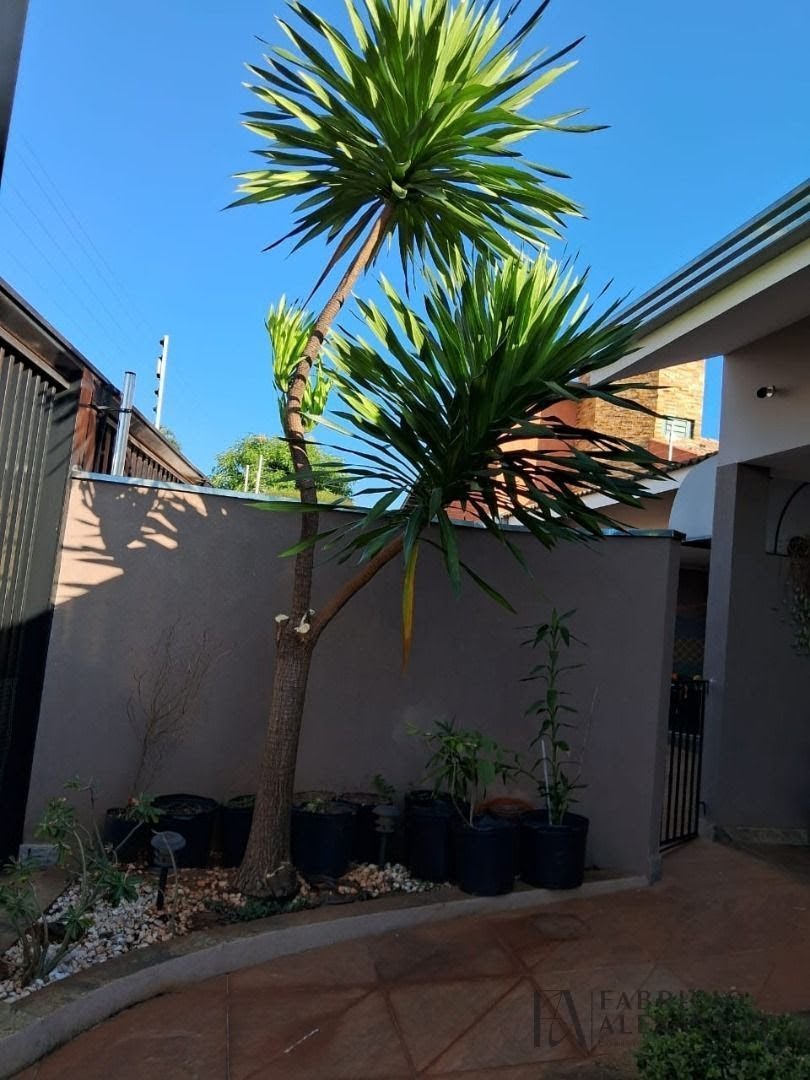 Casa à venda com 5 quartos, 3 suítes, 5 vagas e 421m² no Jardim Francisco Fernandes, São José do Rio Preto (SP) — foto 12 de 30