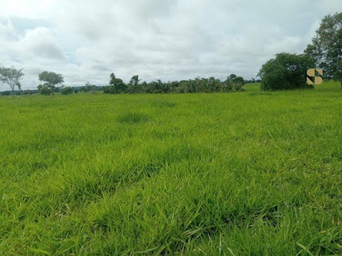 Fazenda em Mirassol do Oeste com 218 hectares