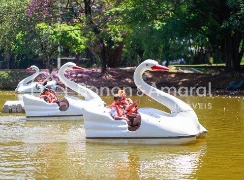 Apartamento, 2 quartos, 43 m² - Foto 9